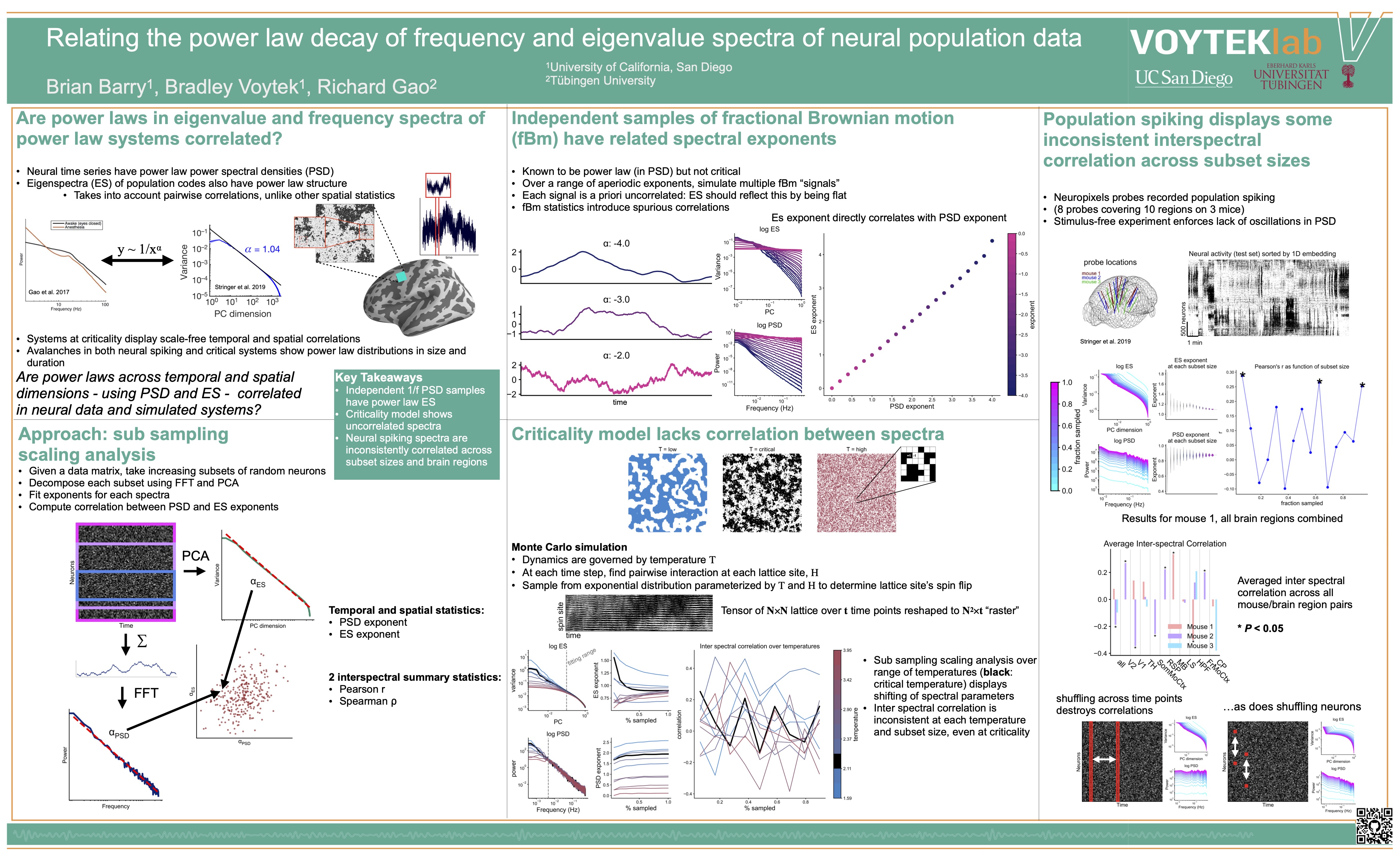 Correlated spatial and temporal spectra of neural activity